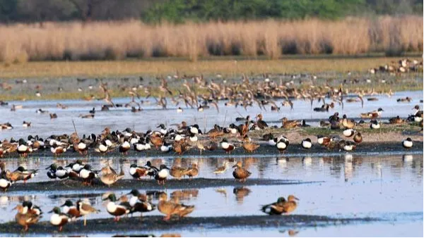 Sultanpur National Park 